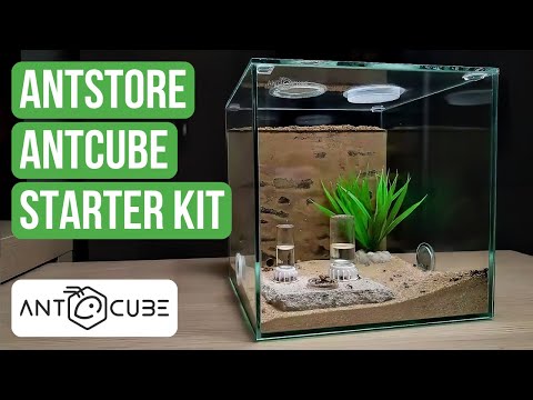 Recensione ANTCUBE Starter Set Combi