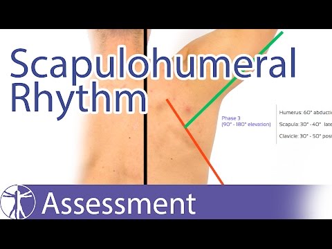 Scapulohumeral Rhythm
