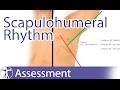 Scapulohumeral Rhythm