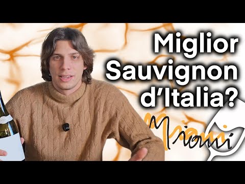 IL MIGLIOR Sauvignon D’ITALIA ? 🔥🥂👀