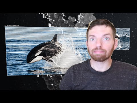 My Name is Jeff's FIRST TIME Hearing: "Nightwish - Procession"