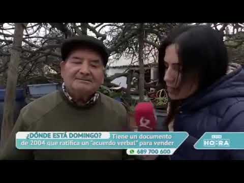 ¿Dónde está Domingo? - A esta hora - Canal Extremadura