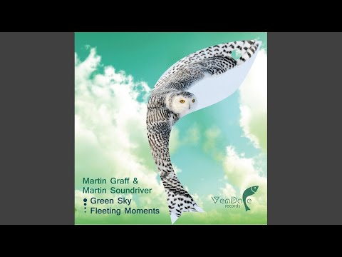 Fleeting Moments (Original Mix)