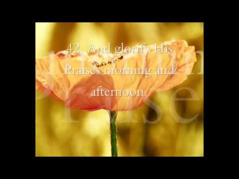 Heroes Of Islam 2012 [Zuri Z]