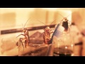 Baygon Spec TVC