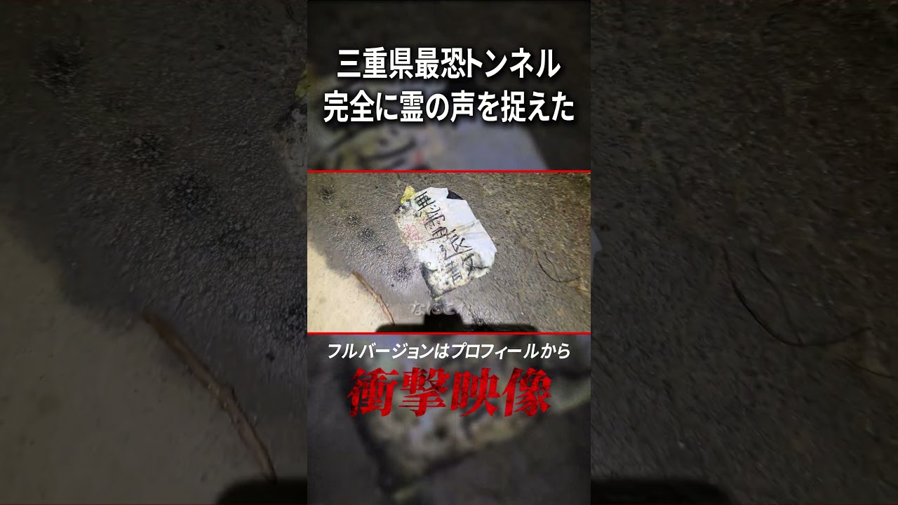 閲覧注意⚠️これが霊の声です　#心霊　#心霊スポット #怖い話 #恐怖 #怪談