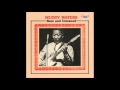 Muddy Waters - 19.Stuff You Gotta Watch