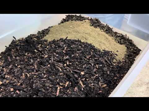 Prepping Breeder Bins Using HOT Pre-Compost