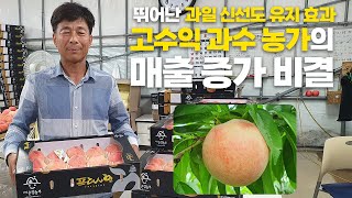 과일 신선도 유지에 탁월한 효과! 고수익 과수 농가의 매출 비결 공개