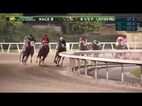 Letruska (USA) - Segunda victoria (09 Nov 2018)