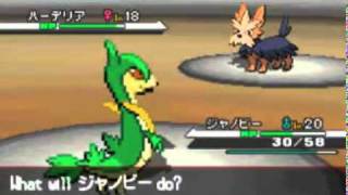 Pokémon Black and White - Gym #2: Aloe