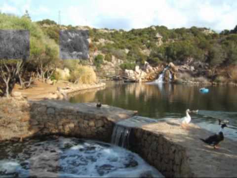 Tom Boxer feat Jay -- A beautiful day.avi