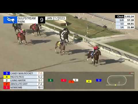 Gulfstream Park: Jockey Junior Alvarado on Candy Man Rocket