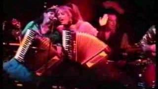 Those Darn Accordions! in the 90's perform 
