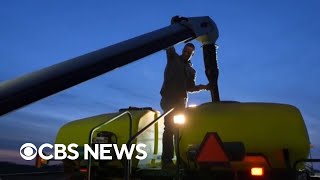 Are Trump's China trade agreements enough for struggling American farmers?