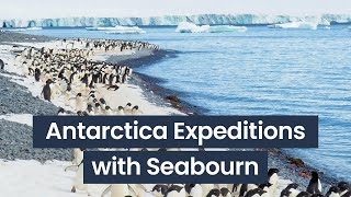 Antarctica | Insights from Seabourn's Expedition Expert