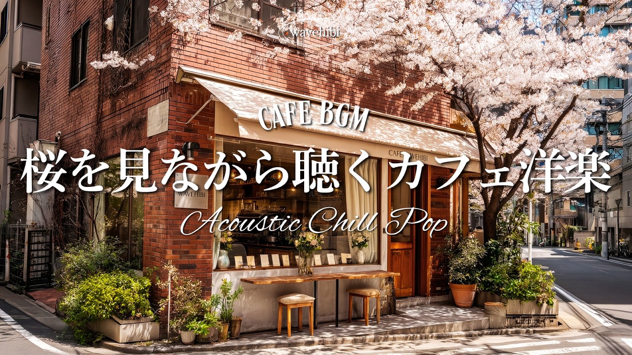 【春カフェ☕作業用BGM】桜を見ながら聴くカフェ洋楽🌸4時間｜Playlist｜Acoustic Chill Pop