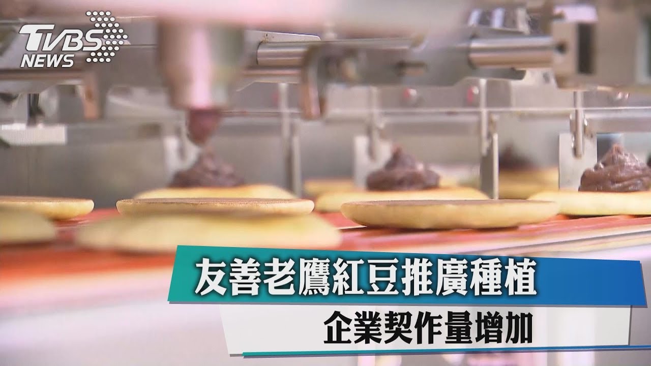 生態制衡減用老鼠藥 老鷹保育仍待努力
