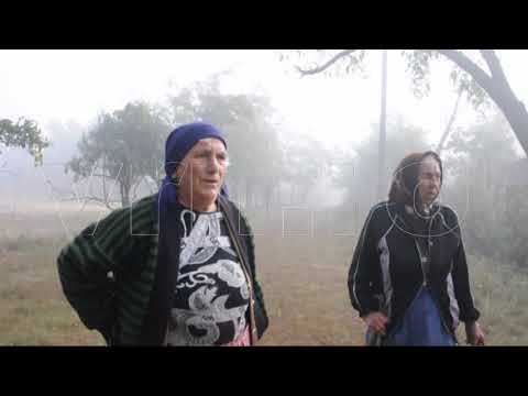 Caz social Radu Ioan - Coroiesti de sus (Vaslui)