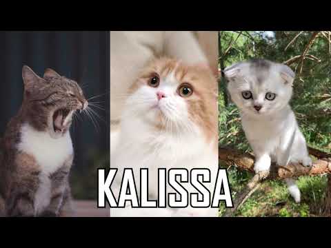 JOYEUX ANNIVERSAIRE KALISSA