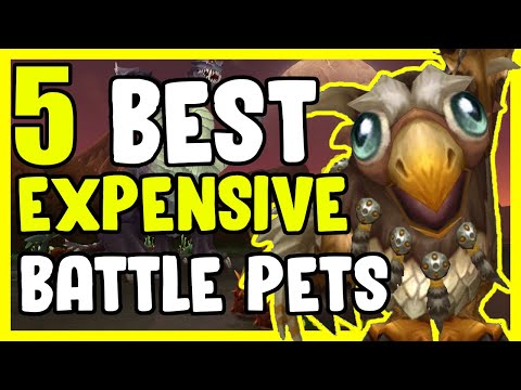 5 Best Expensive Pets In WoW BFA 8.3 - Gold Farming, Gold Making Guide