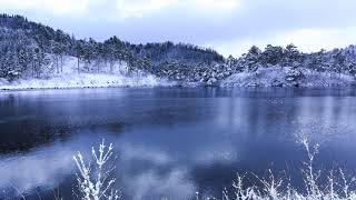 Download lagu #Canon #Pachelbel #カノン【カノン】カノン / パッヘルベル　1時間　Canon / Pachelbel mp3