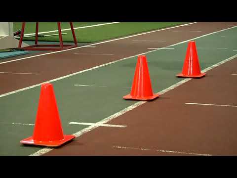 Front Cone Hops or hurdle hops   Exercise Videos &amp; Guides   Bodybuilding com