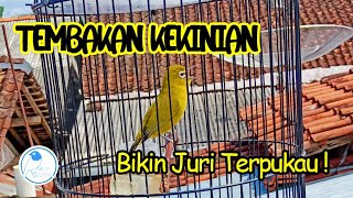 Download lagu MASTERAN PLECI: TEMBAKAN KUNTI TERBARU mp3