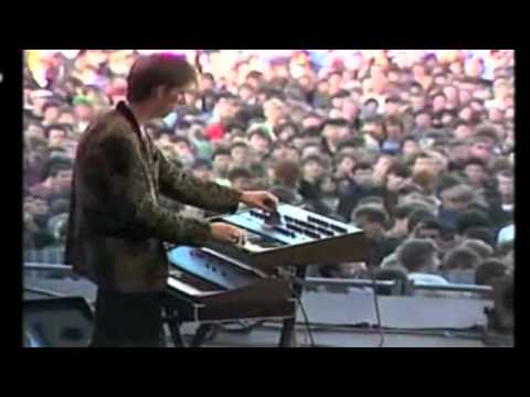 The Bollock Brothers - Horror Movies (Live at SeaSide Festival)