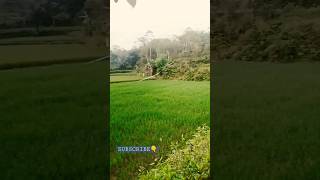 Download lagu DEGUNG SUNDA FANORAMA #shortvideo mp3 Download lagu DEGUNG SUNDA FANORAMA #shortvideo mp3