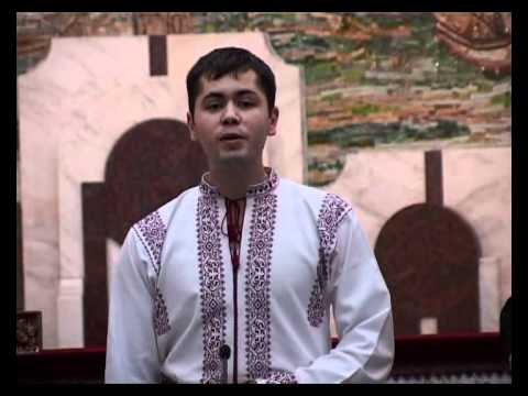 Sergiu Teleba - Rinduieste-mi Doamne Inger de lumina pazitor