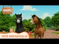 Yeni Arkadaşlık Doru 15 Bölüm