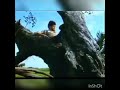 Pantanal Rede Manchete 1990 Roberto Morre Ao Ser Atacado Por Uma Sucuri