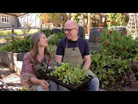 Ep 1. Veggie Growing Classes in Australia with Brian and Kaylene