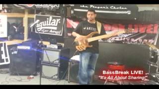 BASSBREAK LIVE 2013 - David Dyson