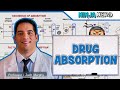 Pharmacokinetics Drug Absorption