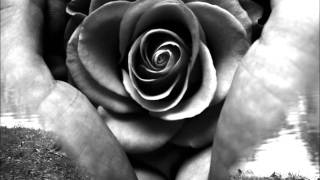 Ännu doftar kärlek ~Marie Fredriksson