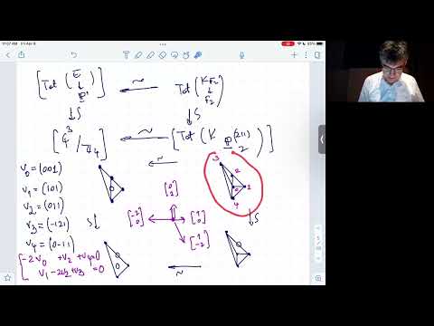 Discriminants and Toric Birational Geometry