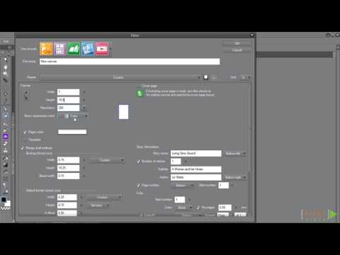 Clip Studio Paint EX Creating and Exporting Pages Making Custom Page Sizes | packtpub com