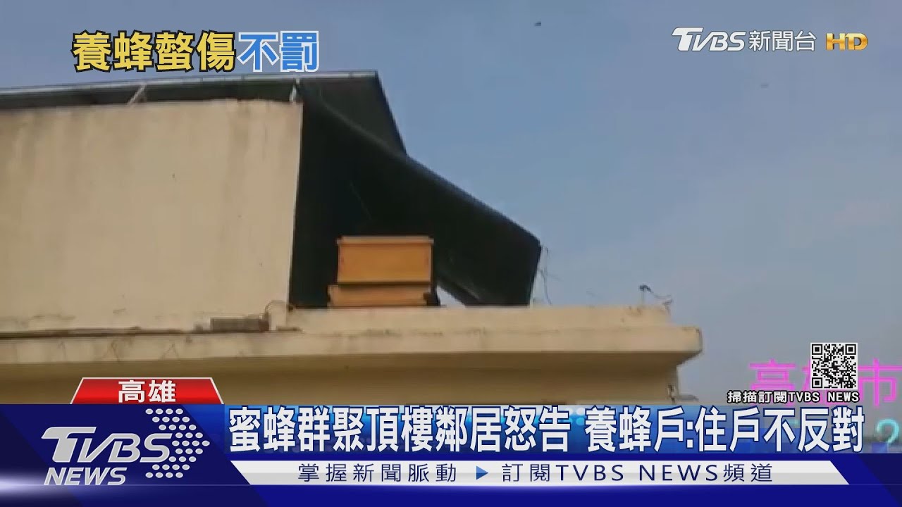 「城市養蜂」正夯!養在頂樓螫傷鄰居 法官不罰:不算危險動物