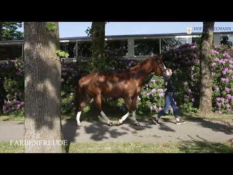 Cat. No 5: Farbenfreude (Floriscount x Rohdiamant)