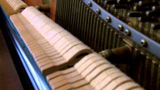 Nemo Egg (Main Theme) by Thomas Newman arranged by Sebastian Wolff