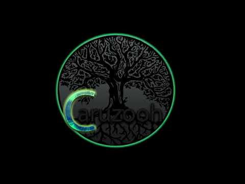 Cranberries - Zombie ( Caruzooh edit )  Psy Trance