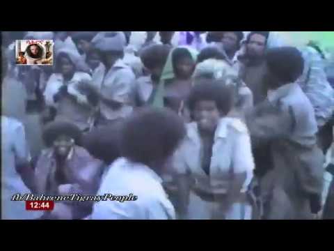 ተጎምፀፅ ጓይላ ተጋደልቲ ትግራይ(ህወሓት) Tegomtsets Guaila Tigrian Tegadelti (T.P.L.F)