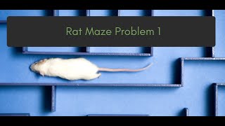 Rat in a Maze Problem - I | Geeks For Geeks