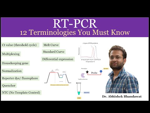RT PCR terms: Terminologies related to real-time PCR you must know
