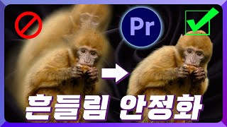 🟪프리미어 프로 흔들림 보정 이렇게 쉬워?