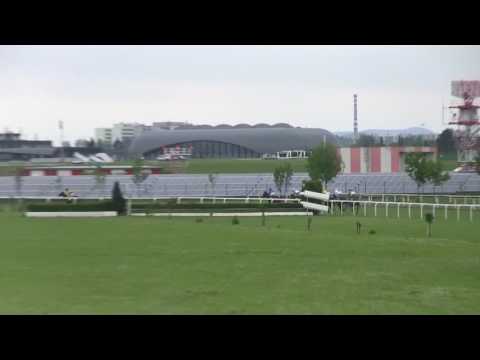 BR, 20. 5. 2017, 7. dostih - Letní moravská míle - Cena firmyMEWOTECH CZ -z fondu PODPORA 2017