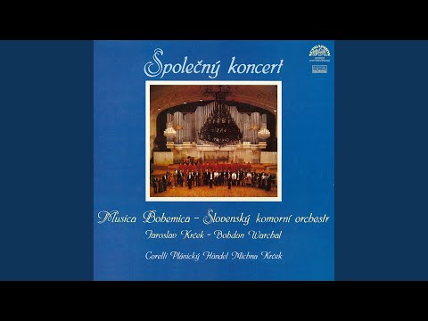 The Czech Lute - Již jest lázeň zatopena