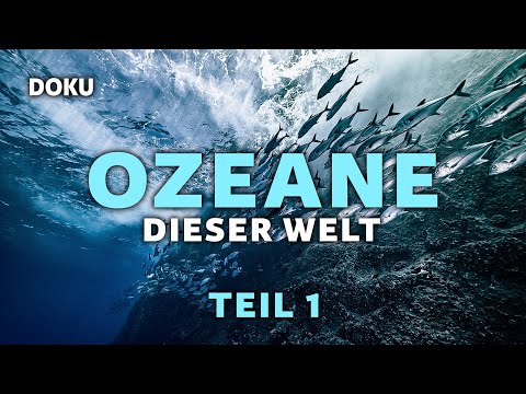 Oceans of the World - The best of Undersea Explorer Part 1 (fascinating ocean documentary)